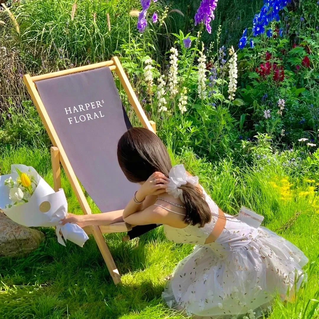 流金故梦
